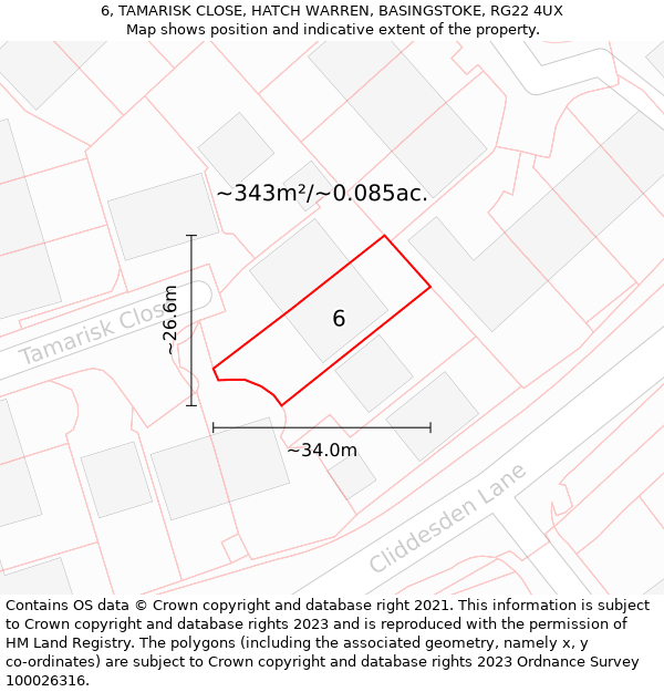 6, TAMARISK CLOSE, HATCH WARREN, BASINGSTOKE, RG22 4UX: Plot and title map