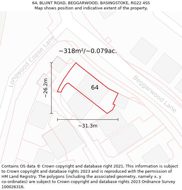 64, BLUNT ROAD, BEGGARWOOD, BASINGSTOKE, RG22 4SS: Plot and title map