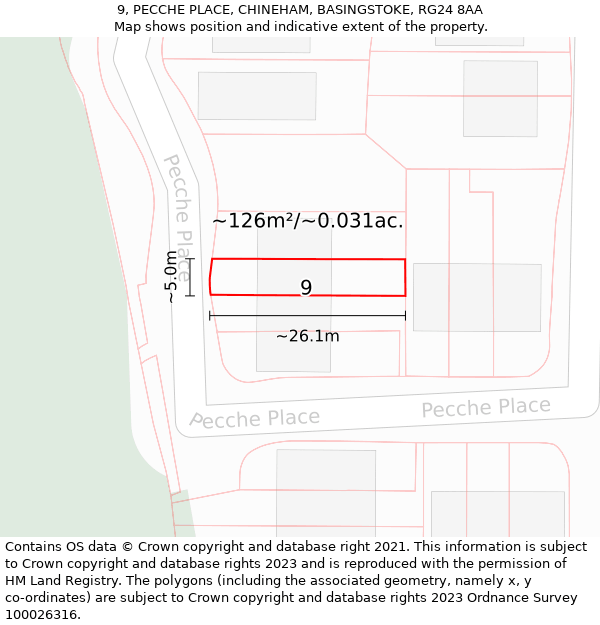 9, PECCHE PLACE, CHINEHAM, BASINGSTOKE, RG24 8AA: Plot and title map