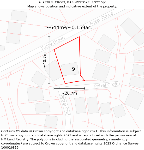 9, PETREL CROFT, BASINGSTOKE, RG22 5JY: Plot and title map