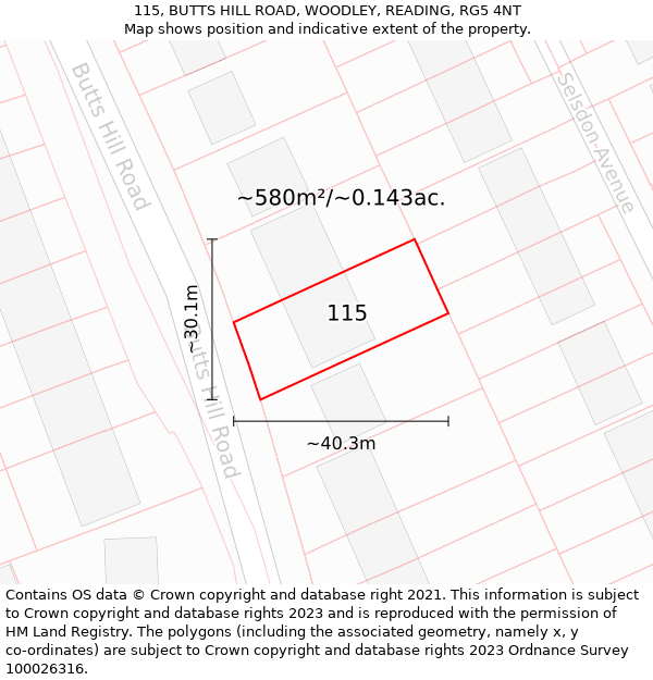 115, BUTTS HILL ROAD, WOODLEY, READING, RG5 4NT: Plot and title map