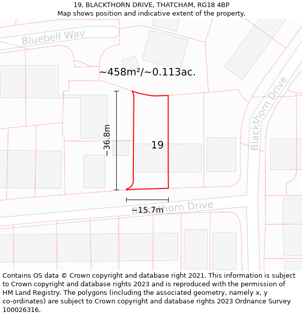 19, BLACKTHORN DRIVE, THATCHAM, RG18 4BP: Plot and title map