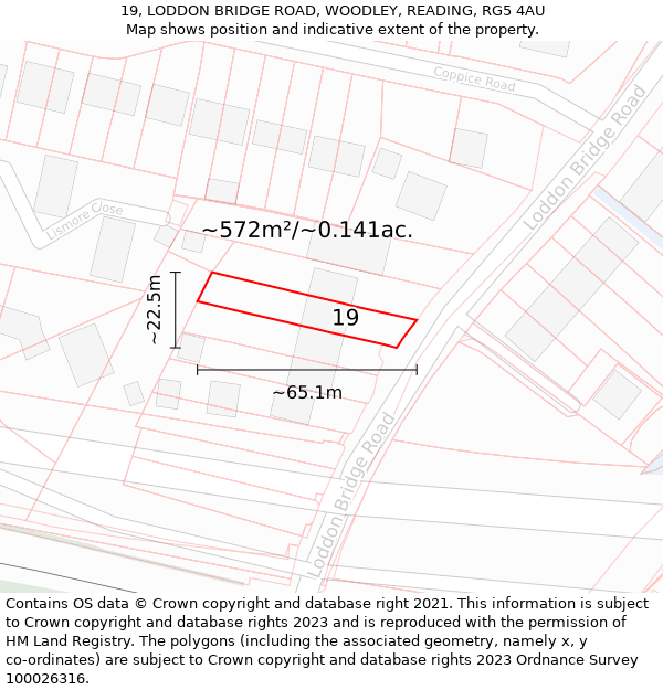 19, LODDON BRIDGE ROAD, WOODLEY, READING, RG5 4AU: Plot and title map