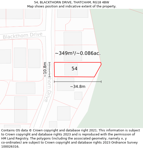 54, BLACKTHORN DRIVE, THATCHAM, RG18 4BW: Plot and title map