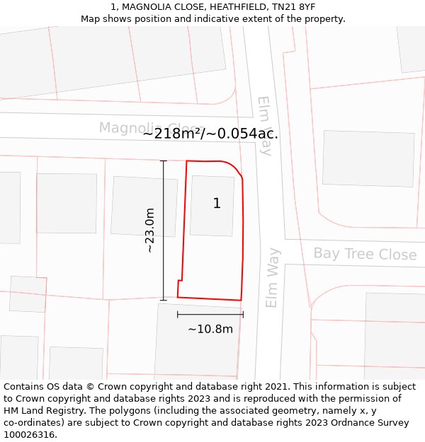 1, MAGNOLIA CLOSE, HEATHFIELD, TN21 8YF: Plot and title map