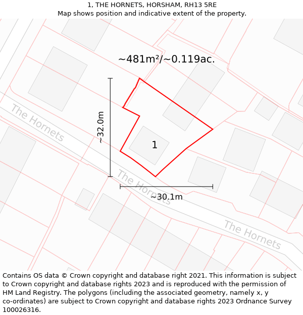 1, THE HORNETS, HORSHAM, RH13 5RE: Plot and title map