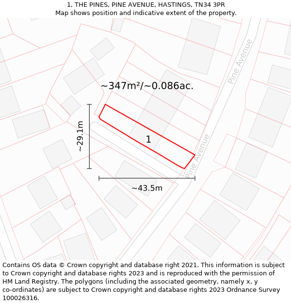 1, THE PINES, PINE AVENUE, HASTINGS, TN34 3PR: Plot and title map
