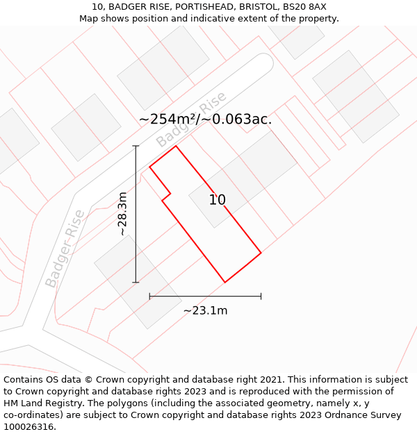 10, BADGER RISE, PORTISHEAD, BRISTOL, BS20 8AX: Plot and title map