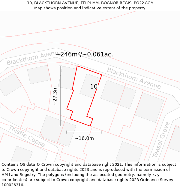 10, BLACKTHORN AVENUE, FELPHAM, BOGNOR REGIS, PO22 8GA: Plot and title map