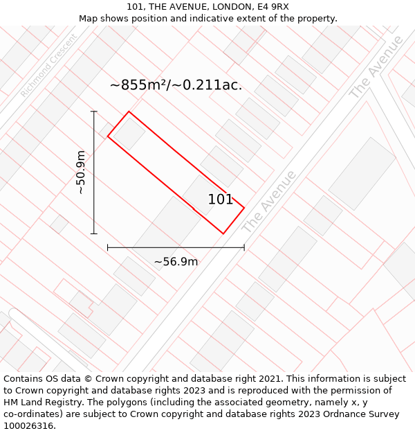 101, THE AVENUE, LONDON, E4 9RX: Plot and title map