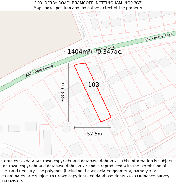 103, DERBY ROAD, BRAMCOTE, NOTTINGHAM, NG9 3GZ: Plot and title map