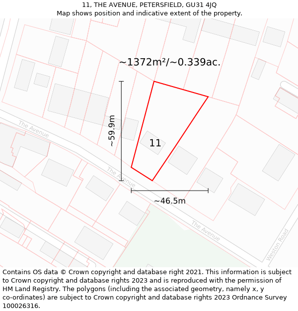 11, THE AVENUE, PETERSFIELD, GU31 4JQ: Plot and title map