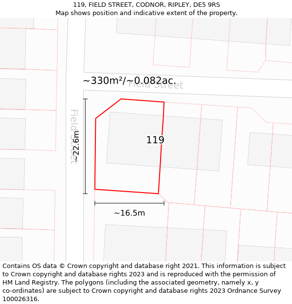 119, FIELD STREET, CODNOR, RIPLEY, DE5 9RS: Plot and title map