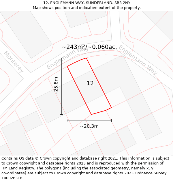 12, ENGLEMANN WAY, SUNDERLAND, SR3 2NY: Plot and title map