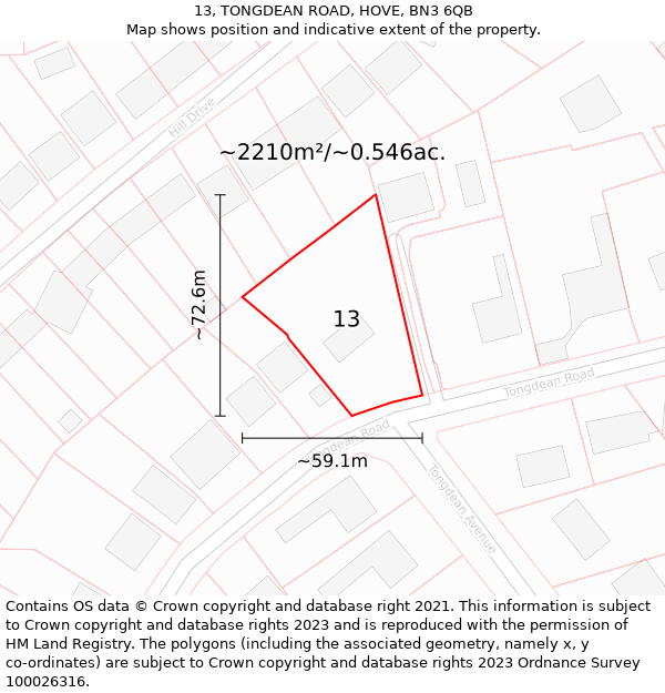 13, TONGDEAN ROAD, HOVE, BN3 6QB: Plot and title map