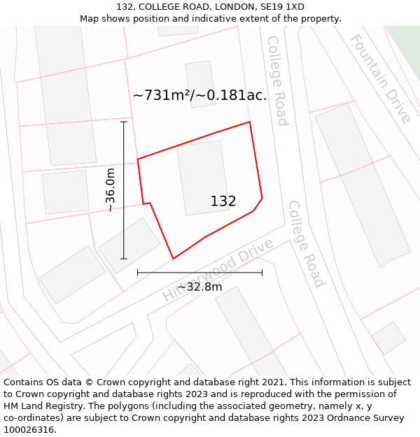 132, COLLEGE ROAD, LONDON, SE19 1XD: Plot and title map