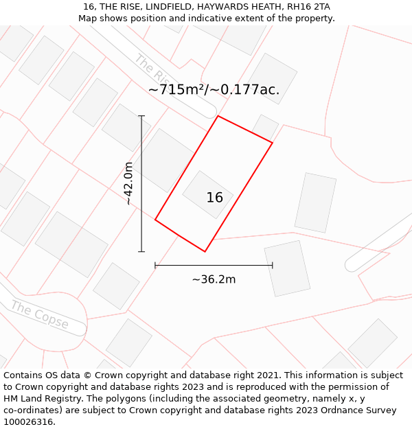 16, THE RISE, LINDFIELD, HAYWARDS HEATH, RH16 2TA: Plot and title map