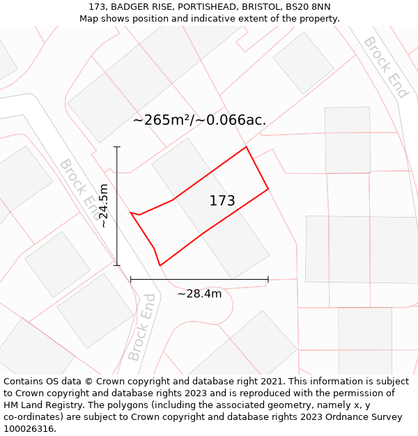 173, BADGER RISE, PORTISHEAD, BRISTOL, BS20 8NN: Plot and title map