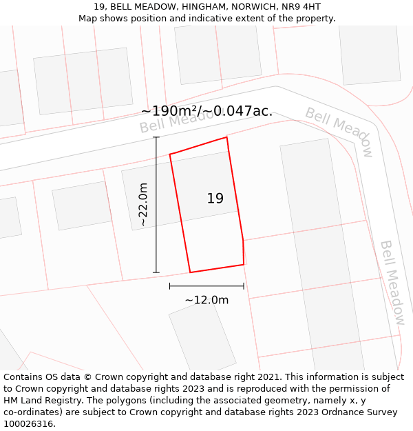 19, BELL MEADOW, HINGHAM, NORWICH, NR9 4HT: Plot and title map