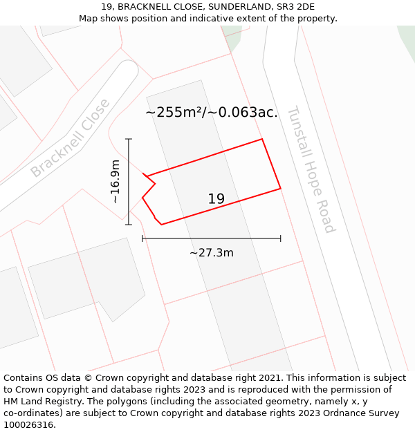 19, BRACKNELL CLOSE, SUNDERLAND, SR3 2DE: Plot and title map