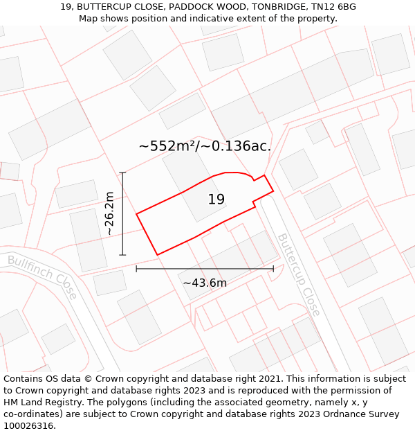 19, BUTTERCUP CLOSE, PADDOCK WOOD, TONBRIDGE, TN12 6BG: Plot and title map