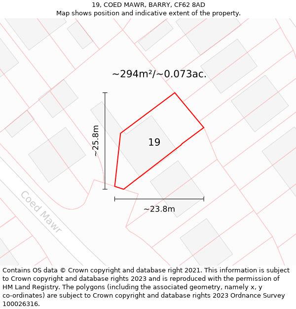 19, COED MAWR, BARRY, CF62 8AD: Plot and title map