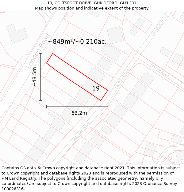 19, COLTSFOOT DRIVE, GUILDFORD, GU1 1YH: Plot and title map