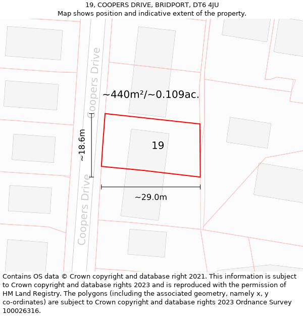 19, COOPERS DRIVE, BRIDPORT, DT6 4JU: Plot and title map