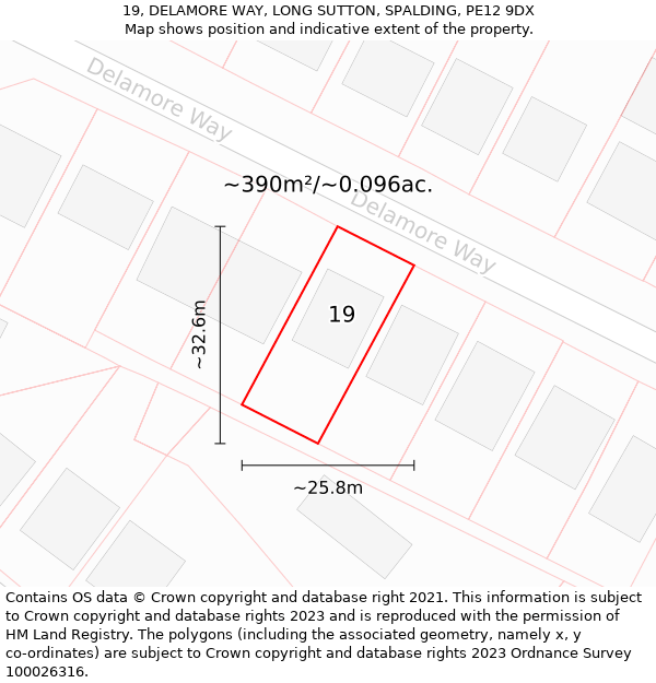 19, DELAMORE WAY, LONG SUTTON, SPALDING, PE12 9DX: Plot and title map