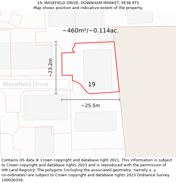 19, MASEFIELD DRIVE, DOWNHAM MARKET, PE38 9TS: Plot and title map