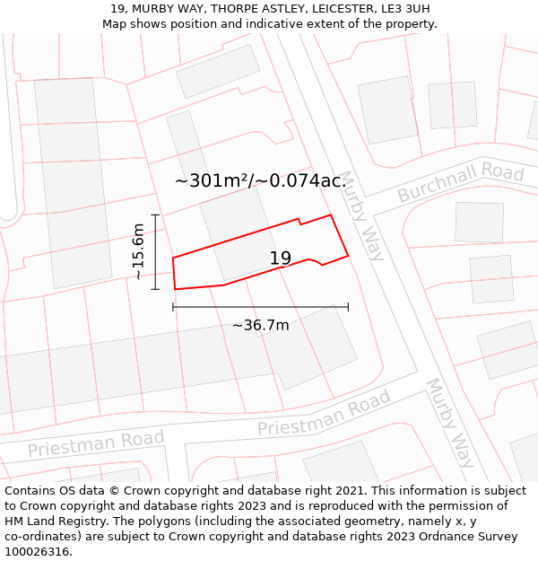 19, MURBY WAY, THORPE ASTLEY, LEICESTER, LE3 3UH: Plot and title map