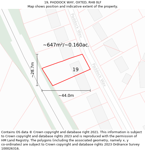 19, PADDOCK WAY, OXTED, RH8 0LF: Plot and title map