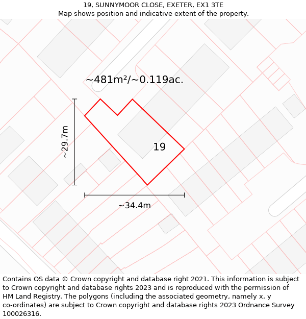 19, SUNNYMOOR CLOSE, EXETER, EX1 3TE: Plot and title map