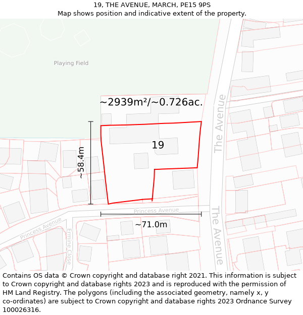 19, THE AVENUE, MARCH, PE15 9PS: Plot and title map