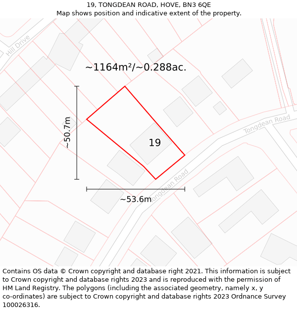 19, TONGDEAN ROAD, HOVE, BN3 6QE: Plot and title map