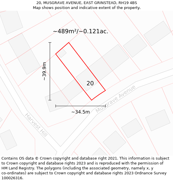 20, MUSGRAVE AVENUE, EAST GRINSTEAD, RH19 4BS: Plot and title map