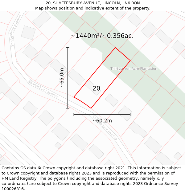 20, SHAFTESBURY AVENUE, LINCOLN, LN6 0QN: Plot and title map