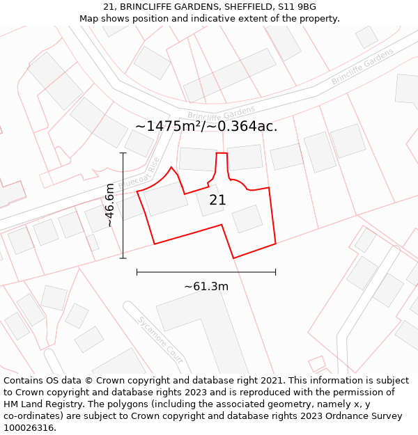 21, BRINCLIFFE GARDENS, SHEFFIELD, S11 9BG: Plot and title map