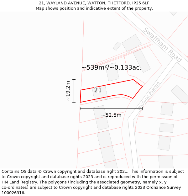 21, WAYLAND AVENUE, WATTON, THETFORD, IP25 6LF: Plot and title map