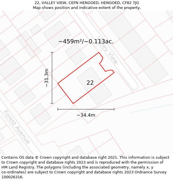 22, VALLEY VIEW, CEFN HENGOED, HENGOED, CF82 7JG: Plot and title map