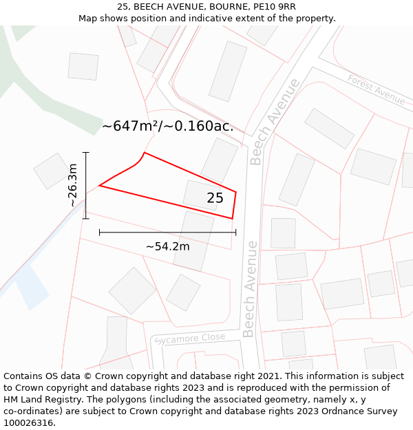 25, BEECH AVENUE, BOURNE, PE10 9RR: Plot and title map