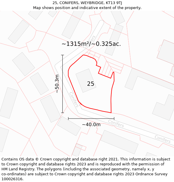 25, CONIFERS, WEYBRIDGE, KT13 9TJ: Plot and title map