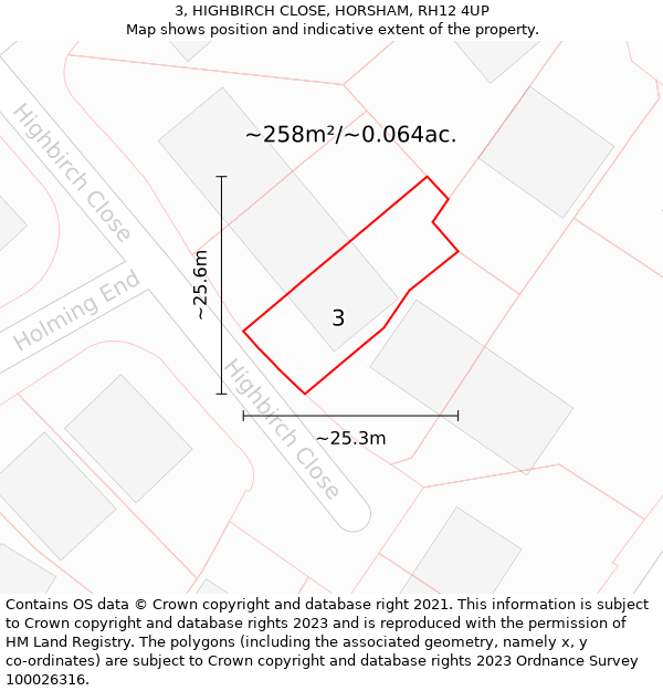 3, HIGHBIRCH CLOSE, HORSHAM, RH12 4UP: Plot and title map