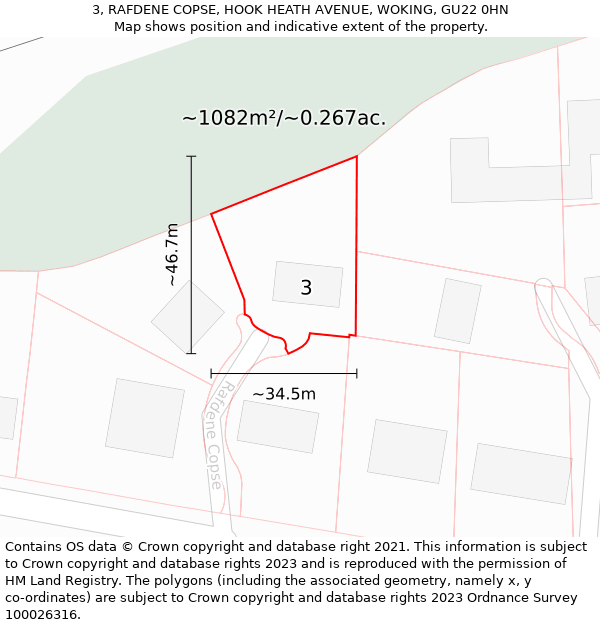 3, RAFDENE COPSE, HOOK HEATH AVENUE, WOKING, GU22 0HN: Plot and title map