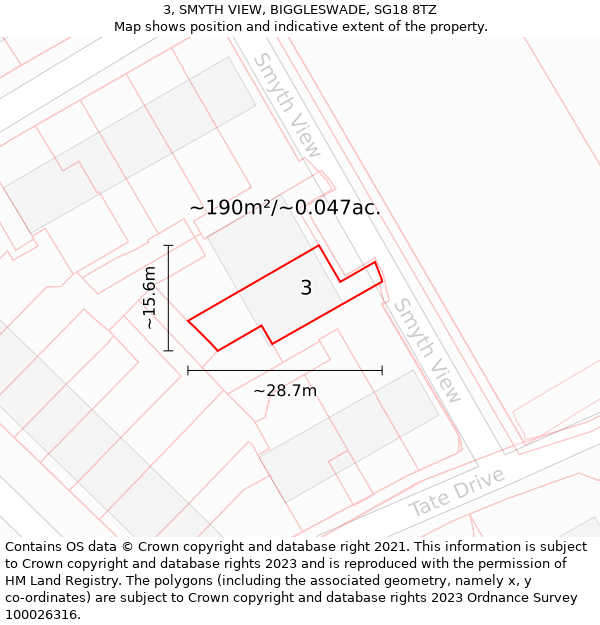 3, SMYTH VIEW, BIGGLESWADE, SG18 8TZ: Plot and title map