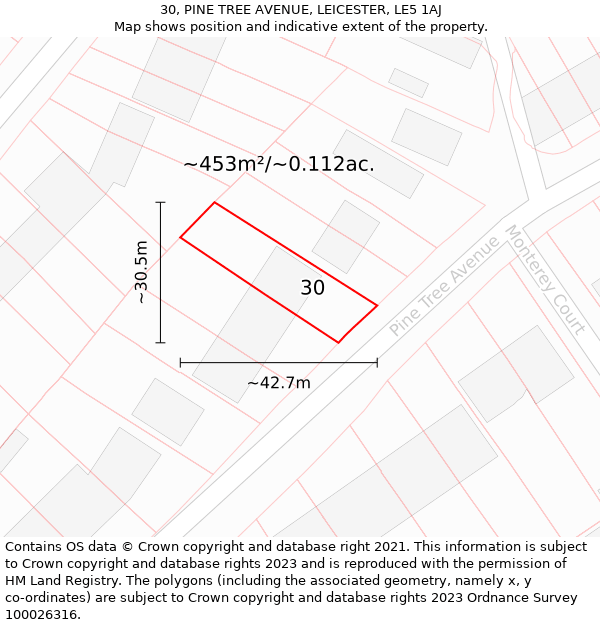 30, PINE TREE AVENUE, LEICESTER, LE5 1AJ: Plot and title map