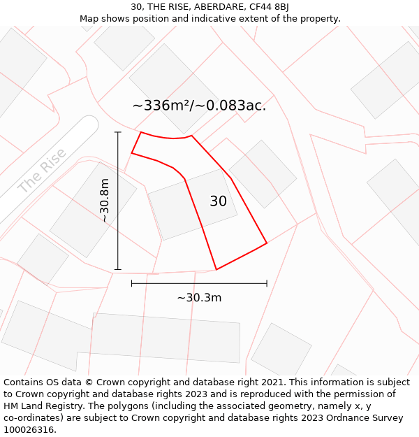 30, THE RISE, ABERDARE, CF44 8BJ: Plot and title map