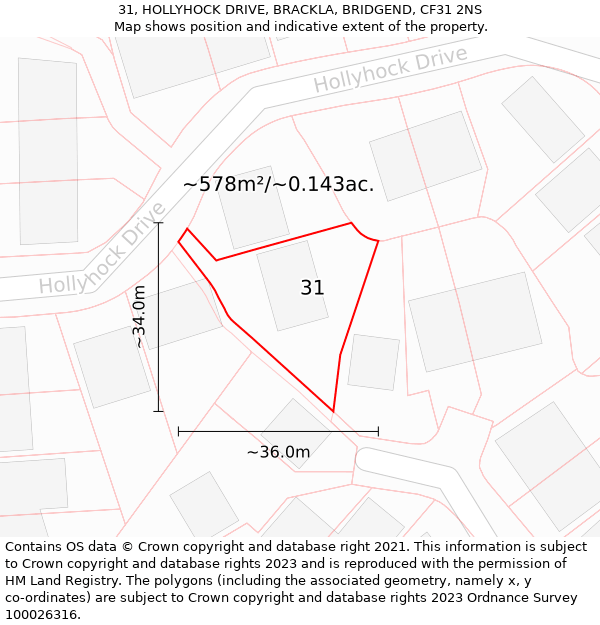 31, HOLLYHOCK DRIVE, BRACKLA, BRIDGEND, CF31 2NS: Plot and title map