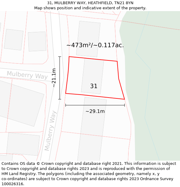 31, MULBERRY WAY, HEATHFIELD, TN21 8YN: Plot and title map