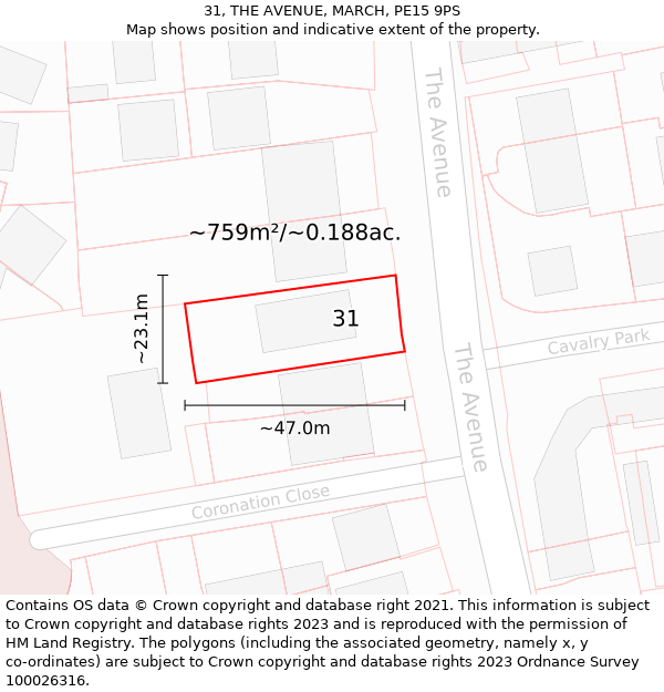 31, THE AVENUE, MARCH, PE15 9PS: Plot and title map